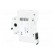 Switch-disconnector | Poles: 1 | DIN | 16A | 240VAC | IS | IP40 | 2.5÷50mm2 image 4