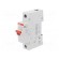Switch-disconnector | Poles: 1 | for DIN rail mounting | 16A | 240VAC paveikslėlis 1