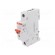 Switch-disconnector | Poles: 1 | for DIN rail mounting | 16A | 253VAC image 1