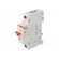 Switch-disconnector | Poles: 1 | for DIN rail mounting | 32A | 253VAC фото 1