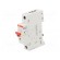 Switch-disconnector | Poles: 1 | for DIN rail mounting | 40A | 253VAC фото 1