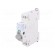 Switch-disconnector | Poles: 2 | for DIN rail mounting | 16A | 400VAC image 1