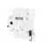 Switch-disconnector | Poles: 2 | DIN | 20A | 240VAC | IS | IP40 | 2.5÷50mm2 image 4