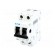 Switch-disconnector | Poles: 2 | DIN | 32A | 240VAC | IS | IP40 | 2.5÷50mm2 image 1