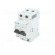Switch-disconnector | Poles: 2 | DIN | 40A | 400VAC | ZP | IP40 | 1.5÷25mm2 image 2