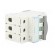 Switch-disconnector | Poles: 3 | DIN | 40A | 400VAC | FR300 | IP20 image 8