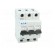 Switch-disconnector | Poles: 3 | DIN | 40A | 400VAC | ZP | IP40 | 1.5÷25mm2 image 9