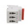 Switch-disconnector | Poles: 3 | for DIN rail mounting | 50A | 400VAC фото 7