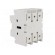 Switch-disconnector | Poles: 3 | DIN,screw type | 125A | GA image 4