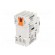 Switch-disconnector | Poles: 3 | DIN,screw type | 16A | GA image 6