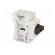 Switch-disconnector | Poles: 3 | DIN,screw type | 25A | GA image 8