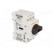 Switch-disconnector | Poles: 3 | for DIN rail mounting,screw type image 8