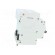 Switch-disconnector | Poles: 3+N | DIN | 40A | 400VAC | ZP | IP40 image 7