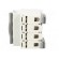 Switch-disconnector | Poles: 4 | for DIN rail mounting | 40A | 400VAC image 3