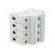 Switch-disconnector | Poles: 4 | for DIN rail mounting | 40A | 400VAC image 8
