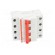 Switch-disconnector | Poles: 4 | for DIN rail mounting | 40A | 415VAC image 9