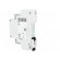LED indicator | 230VAC | 230VDC | for DIN rail mounting image 4