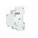 LED indicator | 230VAC | 230VDC | DIN | Colour: white/white фото 3