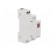 Module: voltage indicator | 230VAC | IP20 | for DIN rail mounting image 8