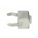 Microswitch TACT | SPST-NO | Pos: 2 | 0.05A/12VDC | THT | none | 1.6N image 7