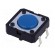 Microswitch TACT | SPST-NO | Pos: 2 | 0.05A/24VDC | THT | none | 1.27N image 1