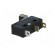 Microswitch SNAP ACTION | 5A/125VAC | with lever (with roller) image 6