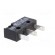 Microswitch SNAP ACTION | 0.1A/250VAC | 0.1A/80VDC | without lever image 6