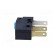 Microswitch SNAP ACTION | without lever | SPDT | 3A/250VAC | ON-(ON) image 5