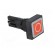 Switch: push-button | Stabl.pos: 1 | 16mm | red | Pos: 2 | -25÷70°C фото 8
