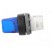 Switch: rotary | 22mm | Stabl.pos: 1 | blue | MLB-1 | IP66 | prominent image 3