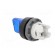Switch: rotary | 22mm | Stabl.pos: 2 | blue | MLB-1 | IP66 | prominent image 4