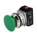 Switch: push-button | 30mm | Stabl.pos: 1 | NC + NO | green | IP55 | NEF30 image 1