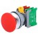 Switch: push-button | 30mm | Stabl.pos: 1 | NC + NO | red | IP65 | XE30 paveikslėlis 1