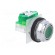 Switch: push-button | 30mm | Stabl.pos: 1 | NO | green | none | IP66 | 9001K image 8