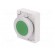 Switch: push-button | Stabl.pos: 2 | 30mm | green | none | IP67 | Pos: 2 image 2