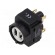 Contact block | 61 | -25÷55°C | Leads: connectors | Contacts: NO x2 image 1