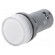 Control lamp | 22mm | CL2 | -25÷70°C | Illumin: LED | Ø22mm | 48÷60VAC paveikslėlis 1