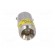 LED lamp | Colour: yellow | Cap: BA9S | 12VDC image 9