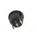 ROCKER | SPST | Pos: 2 | ON-OFF | 20A/14VDC | black | LED | Rcont max: 50mΩ image 5