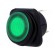 ROCKER | SPST | Pos: 2 | OFF-ON | 10A/250VAC | green | IP65 | LED | 50mΩ image 1