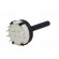 Switch: rotary | Pos: 12 | 0.3A/125VAC | 1A/30VDC | Poles number: 1 | 30° image 6