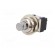 Switch: push-button | Pos: 2 | DPDT | 6A/125VAC | 6A/6VDC | ON-ON | screw image 2
