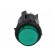 Switch: push-button | Pos: 2 | DPST-NO | 16A/250VAC | 16A/28VDC | green image 9