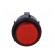 Switch: push-button | Pos: 2 | DPST-NO | 16A/250VAC | 16A/28VDC | red image 9