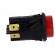 Switch: push-button | Pos: 2 | DPST-NO | 16A/250VAC | 16A/28VDC | red image 7