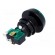 Switch: push-button | Pos: 2 | SPDT | 10A/250VAC | ON-(ON) | green image 6