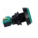 Switch: push-button | Pos: 2 | SPDT | 10A/250VAC | ON-(ON) | green image 7