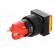Switch: push-button | Pos: 2 | SPDT | 3A/250VAC | 2A/24VDC | ON-(ON) image 6