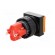 Switch: push-button | Pos: 2 | SPDT | 3A/250VAC | 2A/24VDC | ON-(ON) image 6