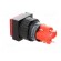 Switch: push-button | Pos: 2 | SPDT | 3A/250VAC | 2A/24VDC | ON-(ON) | red image 4